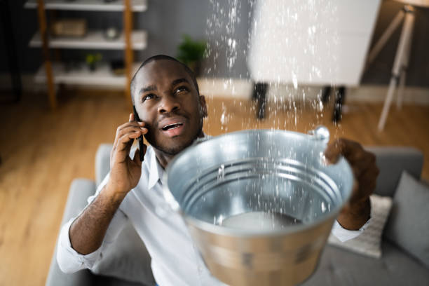 Best Residential water damage restoration  in Central City, NE