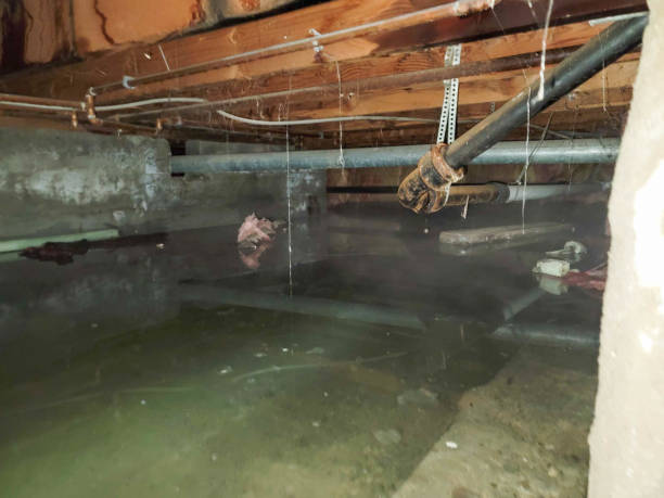 Local water damage restoration in Central City, NE