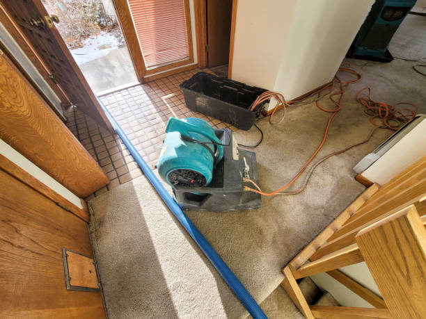 Trusted Central City, NE Water damage restoration Experts