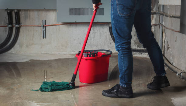 Best Water damage restoration cost  in Central City, NE