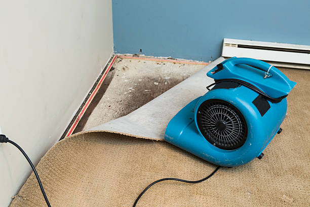 Best Flooded house restoration  in Central City, NE